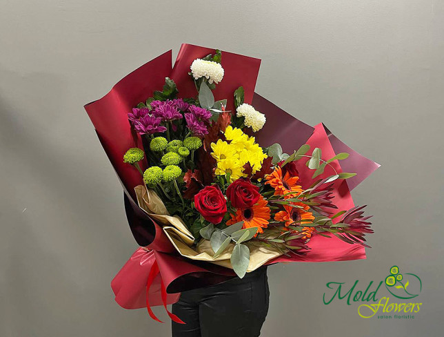 Bouquet of Multicolored Chrysanthemums and Gerbera photo